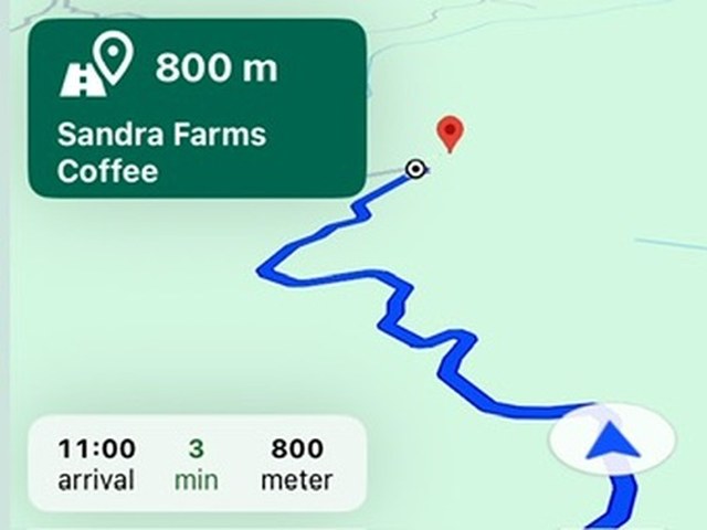 Car navigation screen showing the final 800 meters of the mountain route to Sandra Farms Coffee in Puerto Rico